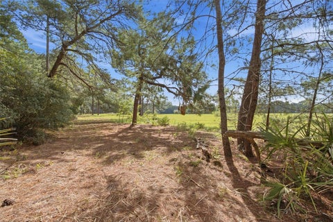Tiny photo for 29025 SE 150th Street, Altoona, FL 32702 (MLS # G5118435)