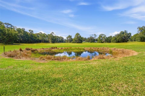 Tiny photo for 29025 SE 150th Street, Altoona, FL 32702 (MLS # G5118435)