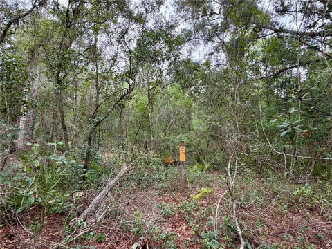 Tiny photo for 29025 SE 150th Street, Altoona, FL 32702 (MLS # G5118435)