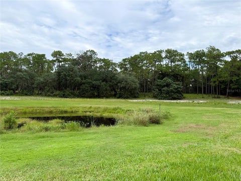 Tiny photo for 29025 SE 150th Street, Altoona, FL 32702 (MLS # G5118435)