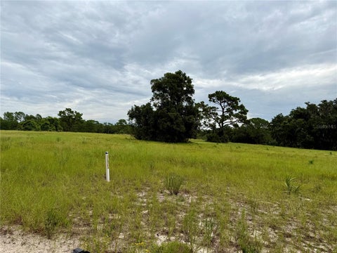 Tiny photo for 29025 SE 150th Street, Altoona, FL 32702 (MLS # G5118435)