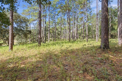 Tiny photo for 29025 SE 150th Street, Altoona, FL 32702 (MLS # G5118435)