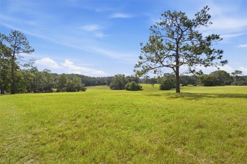 Tiny photo for 29025 SE 150th Street, Altoona, FL 32702 (MLS # G5118435)