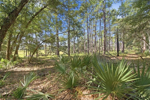 Tiny photo for 29025 SE 150th Street, Altoona, FL 32702 (MLS # G5118435)