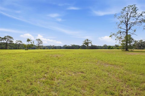 Tiny photo for 29025 SE 150th Street, Altoona, FL 32702 (MLS # G5118435)