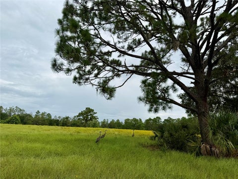 Tiny photo for 29025 SE 150th Street, Altoona, FL 32702 (MLS # G5118435)