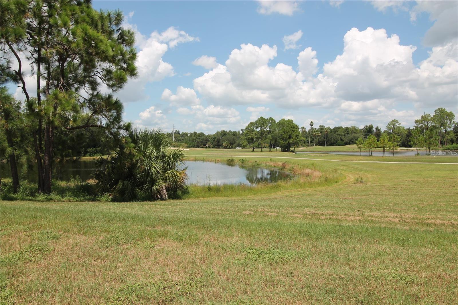 DEL WEBB ORLANDO - Residential