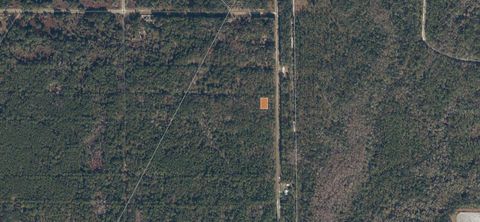 339 CHIPOLA DRIVE INTERLACHEN FL 32148