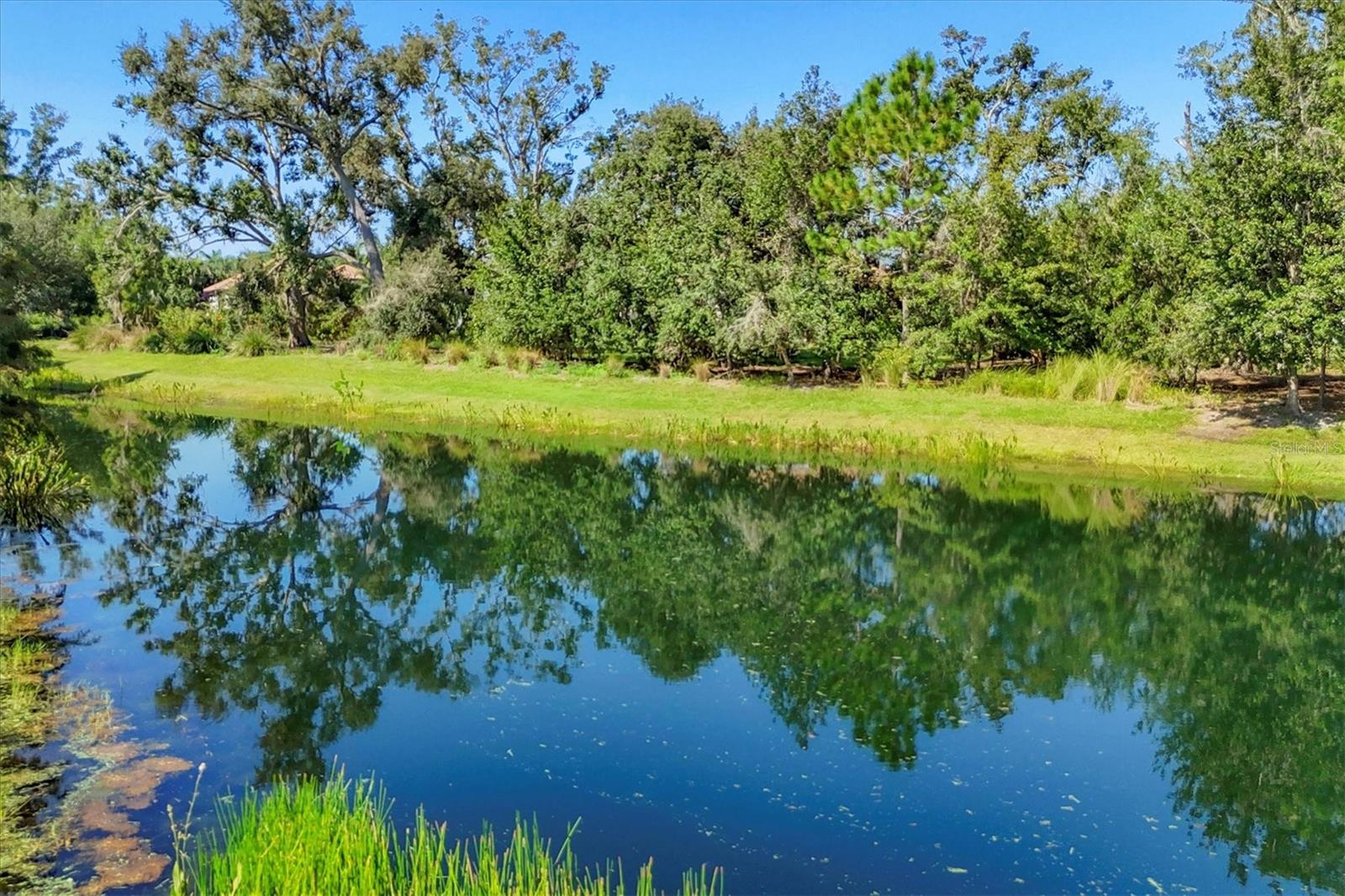 INDIGO PH IV & V - Residential