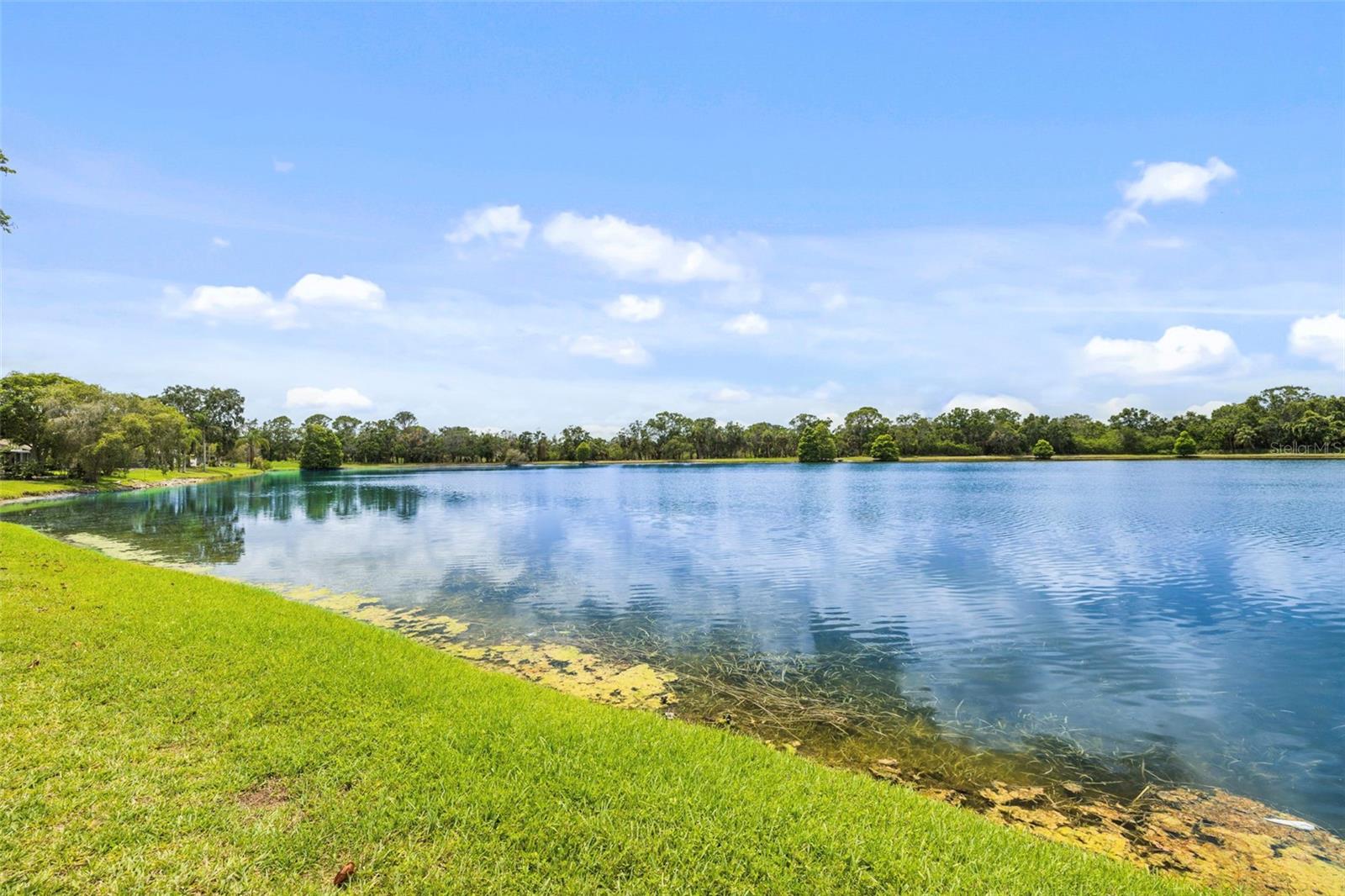 11613 SUNSHINE POND ROAD