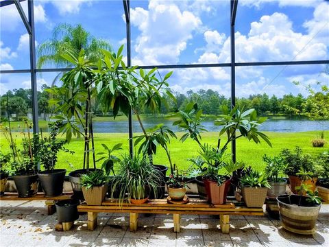 A home in KISSIMMEE