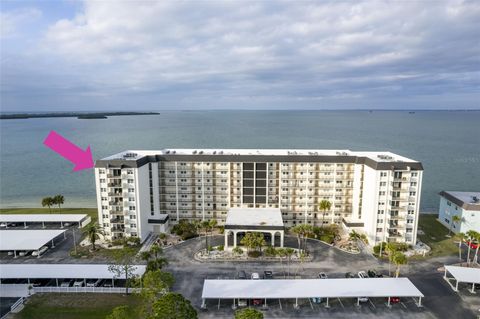 9 HAIG PLACE 801 DUNEDIN FL 34698