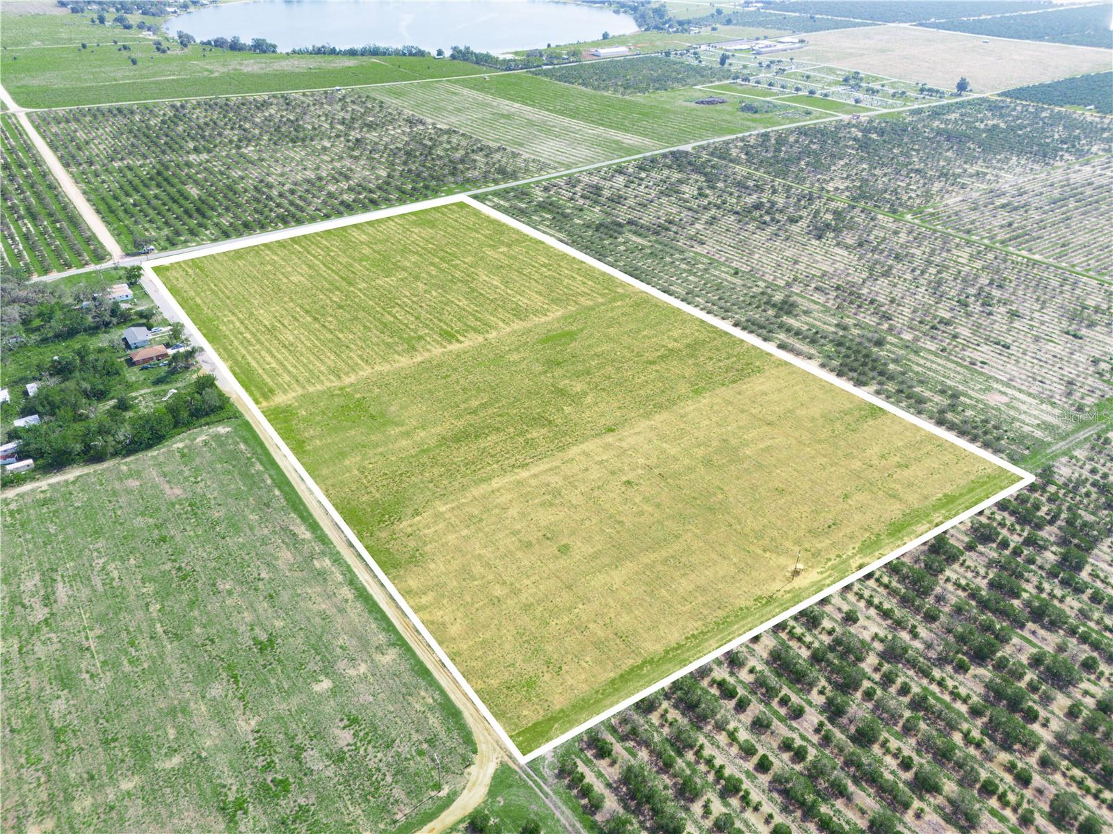 20 ACRES IS MADE UP OF TWO PARCELS. THERE IS APPROXIMATELY 660 FT ON PAVED, COUNTY MAINTAINED MAXCY QUARTERS ROAD, AND APPROXIMATELY 1320 FT ON UNPAVED GRIFFIN RD. PREVIOUSLY PROPERTY HAD CITRUS ON IT, BUT IT IS NOW VACANT LAND. IT STILL HOLDS AGRICULTURAL EXEMPTION WITH THE CURRENT OWNER. THERE ARE 2 (TWO) WELLS LOCATED ON THIS PROPERTY. ONE IS A 6" DEEP WELL WITH A 50 HP ELECTRIC TURBINE MOTOR AND THE OTHER IS A 6" SCREEN WELL WITH A 30 HP SUBMERSIBLE PUMP TO PROVIDE PLENTY OF WATER TO THE 20 ACRES. BOTH WELLS ARE FOR AGRICULTURAL USE ONLY.
BUILD A HOME, RAISE ANIMALS IF YOU WISH AND GROW CROPS OR GARDENS TO YOUR LIKING! RURAL BUT ONLY 5 TO 10 MINUTES AWAY FROM DOWN TOWN GROCERY SHOPPING, BANKING, & MORE. LOCATED APPROXIMATELY 1+ HOURS TO ALL MAJOR ATTRACTIONS (BUSCH GARDENS/DISNEY/SEA WORLD & MORE), 2 INTERNATIONAL AIRPORTS, GULF OF AMERICA (CRUISES & BEACHES), AND ONLY 20 MINUTES TO LEGOLAND AND BOK TOWER!