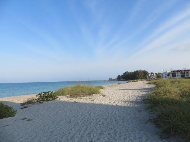 SAN MARCO - Residential Lease