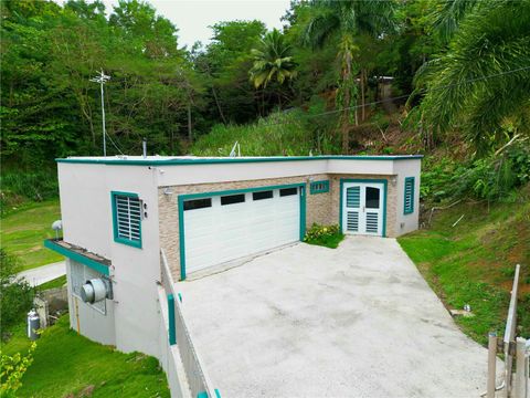 CARR. 861 BO. PAJAROS SECT. CONUCO KM 2.0 LOT 12 BAYAMON  00956