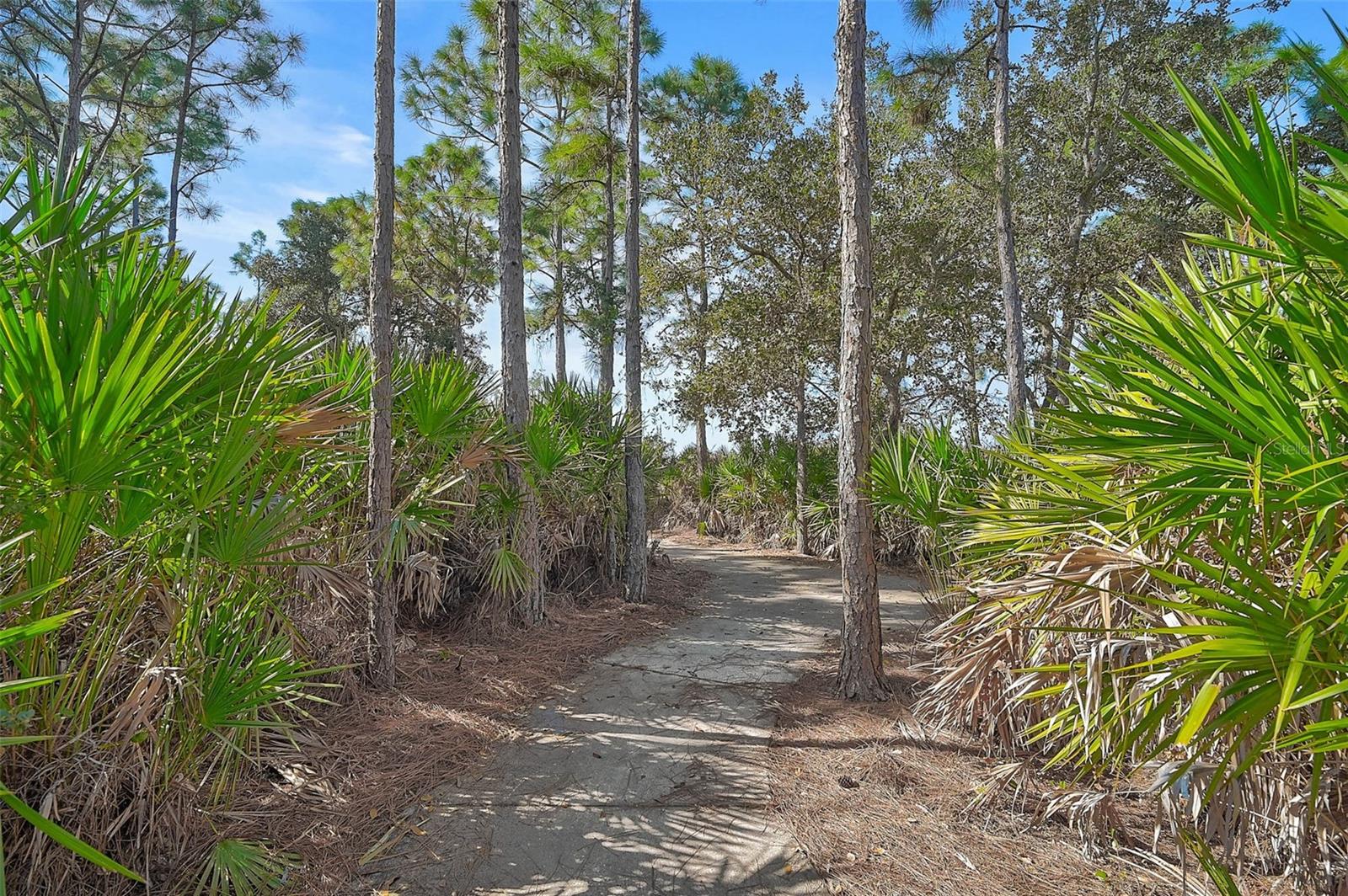 GRAND PALM PH 1A - Residential