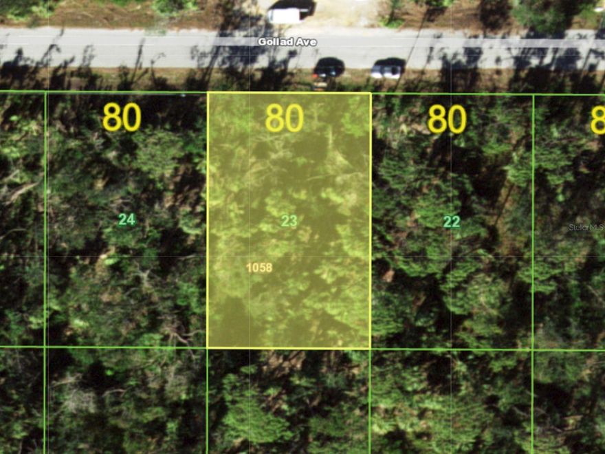 Explore the opportunity to build your dream home on a beautiful lot in the sought-after community of Port Charlotte. This property offers a natural setting that awaits transformation into a bespoke single-family home. Nestled in a tranquil area, it is perfect for those seeking a blend of privacy and accessibility. The lot is surrounded by the charm of Florida's nature and is conveniently close to shopping, dining, and entertainment options. For outdoor enthusiasts, the proximity to stunning Gulf beaches, excellent fishing, and boating opportunities make it an enviable location. This is an excellent choice for anyone looking to enjoy the peaceful yet connected lifestyle of Port Charlotte.