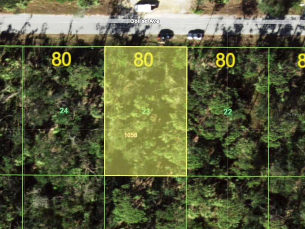 Photo of 18161 Goliad Avenue, Port Charlotte, FL 33954 (MLS # TB8479063)