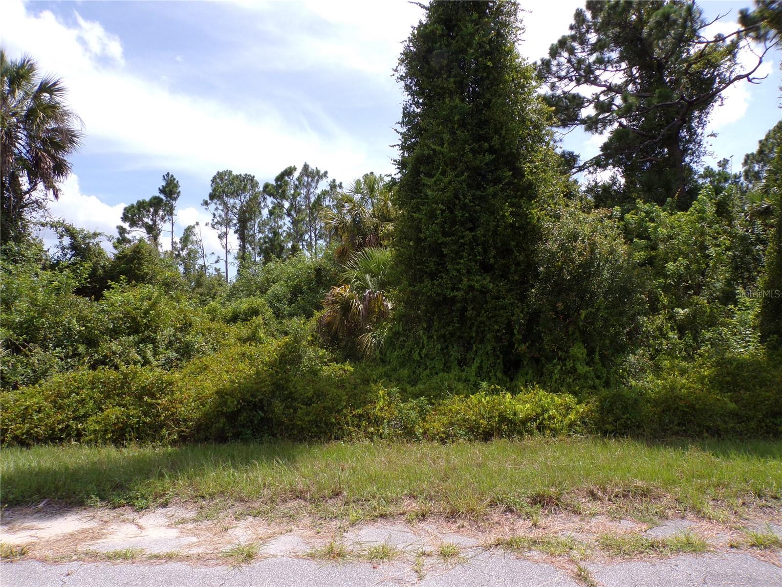 This lot is in the desirable Flood Zone X, this lot does not have electric in front of the lot and is priced accordingly, there are homes with electric very close by. This lot is on a quiet street that would be a great place to build your dream home and retire or raise your family. Less than 4 miles to I75 makes this location an easy commute to almost anywhere, and only 23 miles to Chadwick Park at Englewood Beach with amazing sunsets, 9 miles to Cocoplum Village Shops with lots of shopping and dining options. Atlanta Braves spring training and the fairgrounds are just minutes away, also multiple golf courses and some of the best boating and fishing in all of Florida. Red Soxs, Orioles, Twins and Rays spring training all within an hour’s drive. Buyer and buyers rep responsible for determining environment conditions and endangered species restrictions. This lot is priced to sell so please call for availability! This lot is at a great price point for the investor call today.