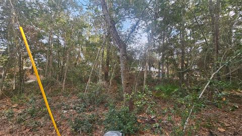 Tiny photo for W Seventh Avenue, Umatilla, FL 32784 (MLS # G5112281)