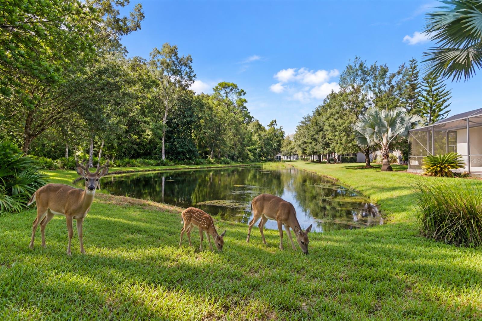 11438 MERGANSER WAY