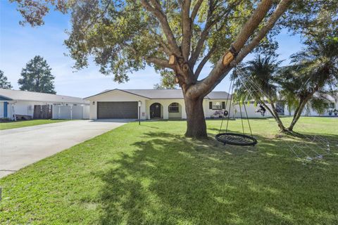 27922 TAMMI DRIVE TAVARES FL 32778