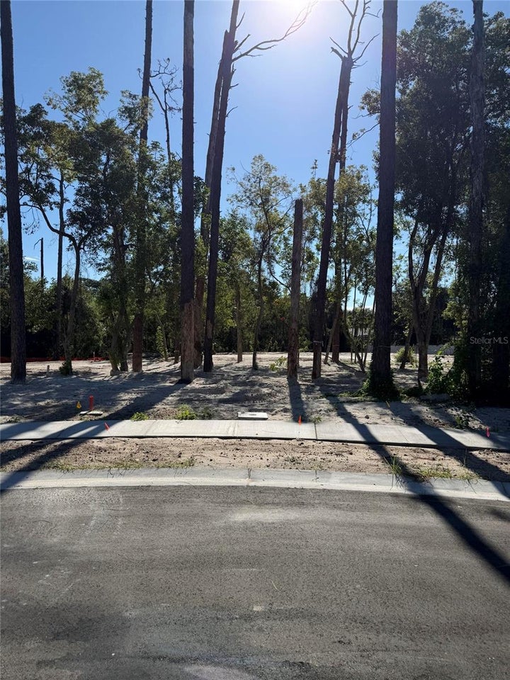 Photo 1 of 8 — 1302 ALMARIA COURT Unit Not Available, PALM HARBOR, FL 34683