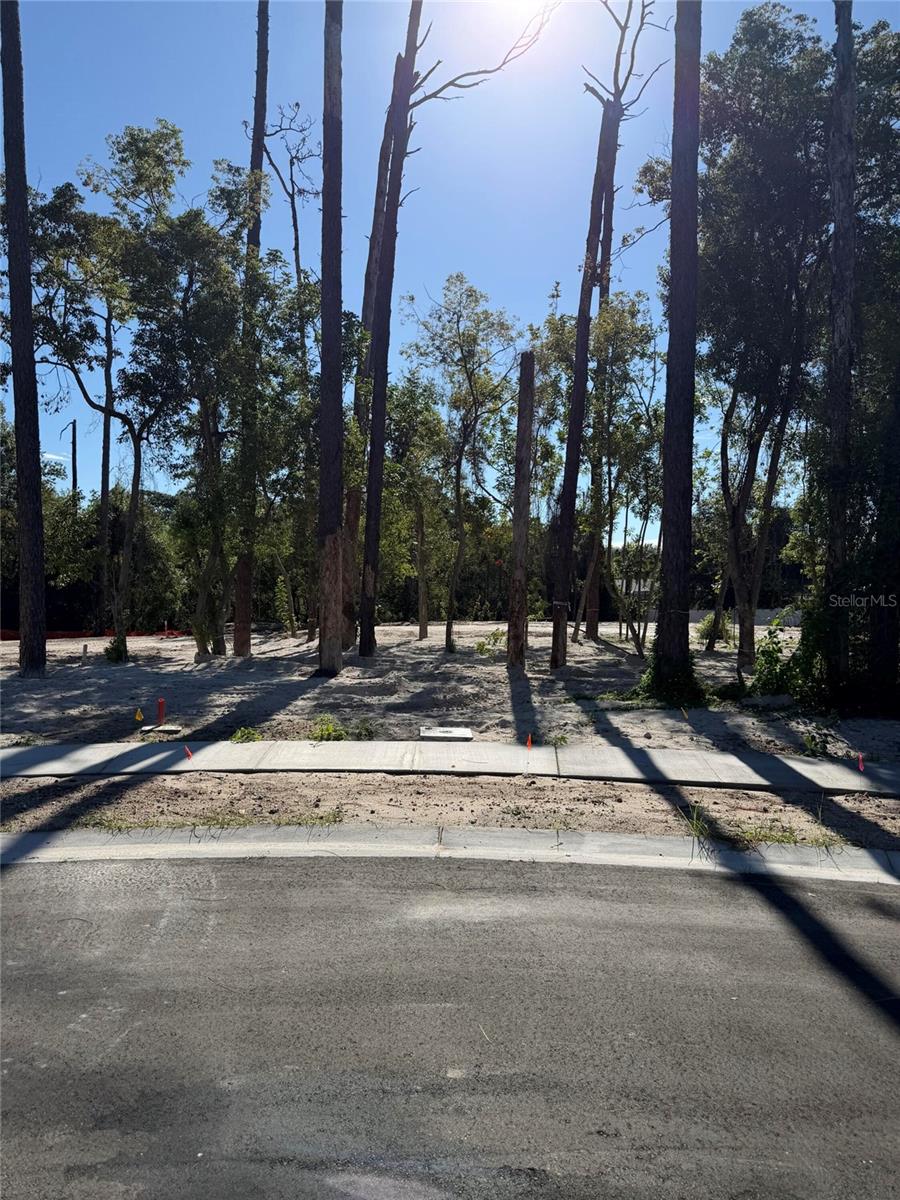 Photo of 1302 Almaria Court, Palm Harbor, FL 34683 (MLS # O6444512)