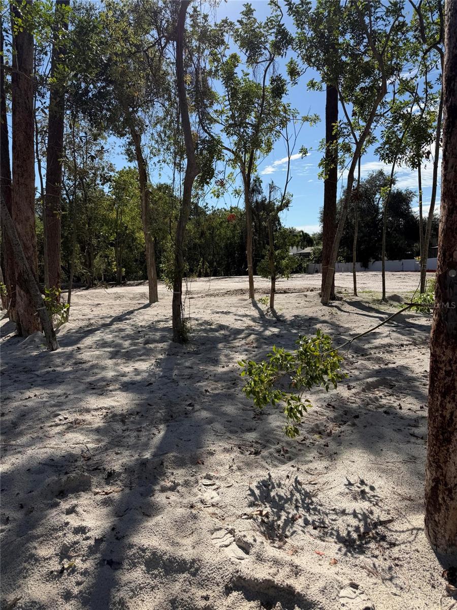 Photo of 1302 Almaria Court, Palm Harbor, FL 34683 (MLS # O6444512)