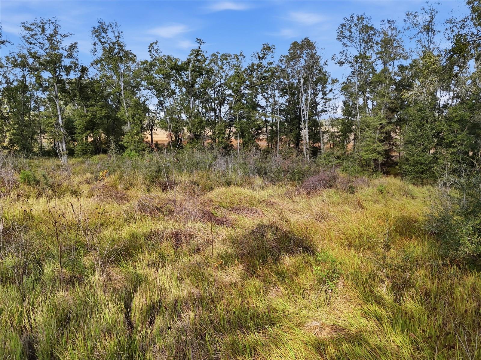 UNIT 1 WAC CAMPSITES - Land