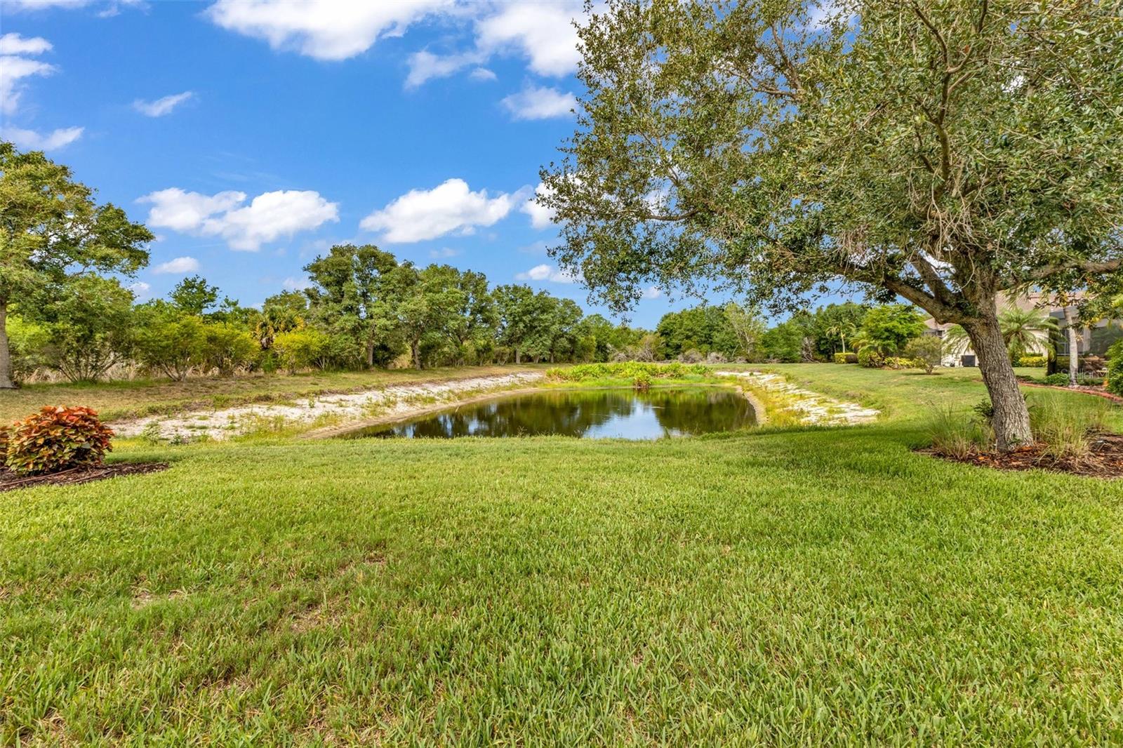 Search Properties for Sale 4 2205 TERRACINA DRIVE