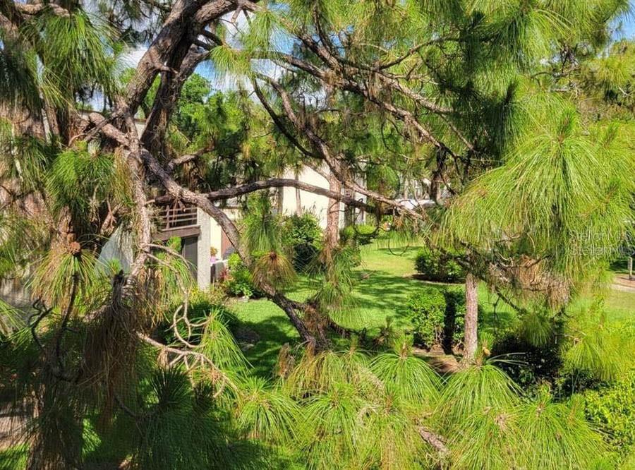 HERONMERE I - Residential Lease