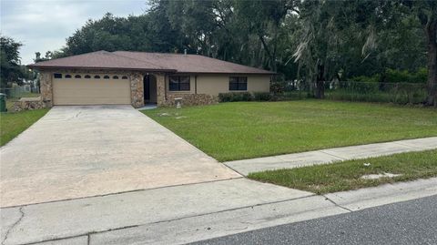 Photo of 1017 Beecher Street, Leesburg, FL 34748 (MLS # O6353701)