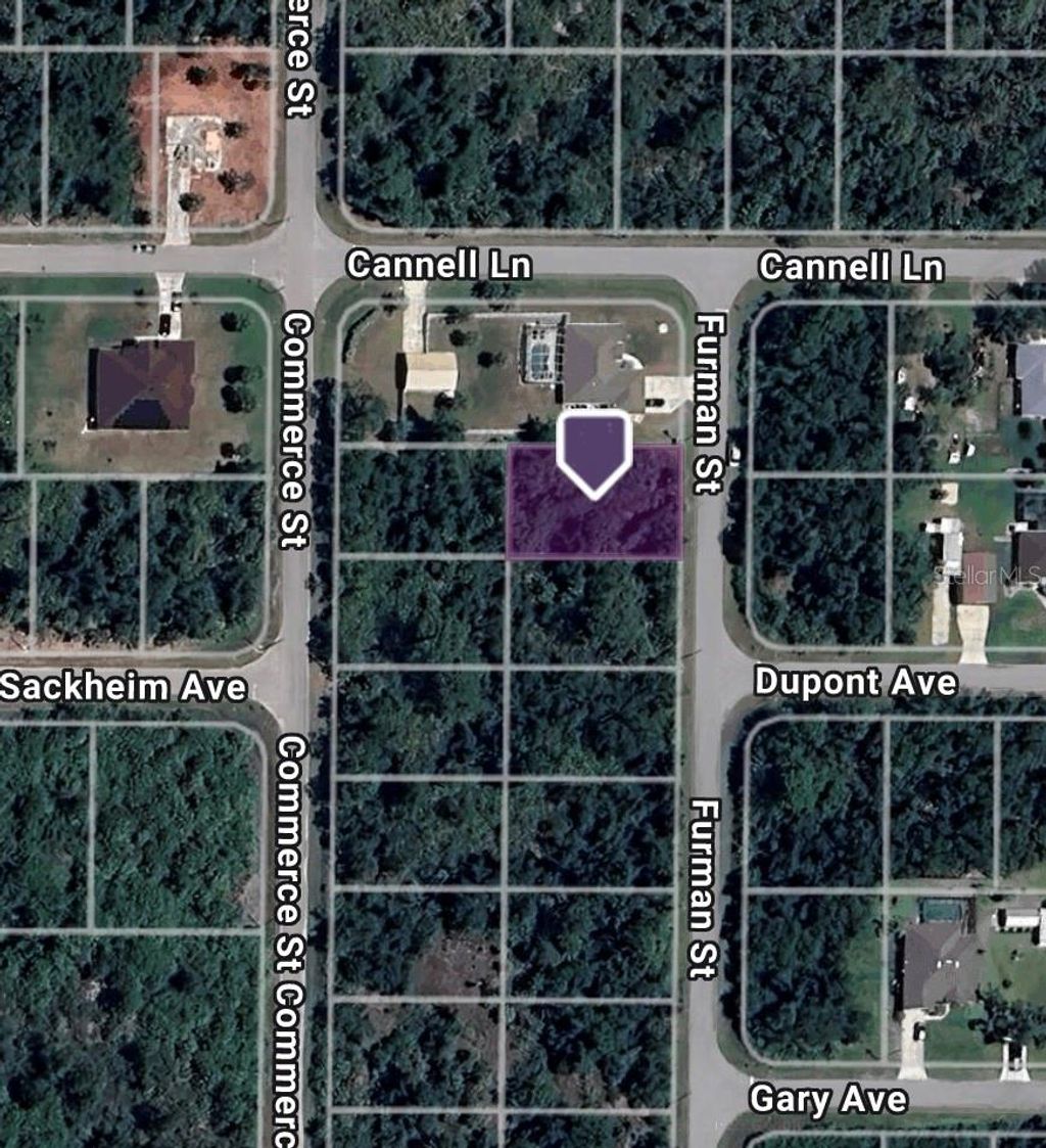 Photo of 1239 Furman Street, Port Charlotte, FL 33953 (MLS # TB8378974)