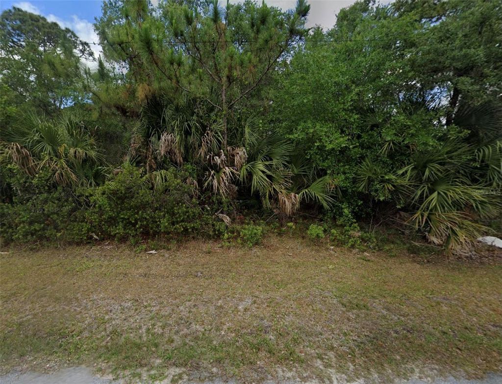 Photo of 1239 Furman Street, Port Charlotte, FL 33953 (MLS # TB8378974)