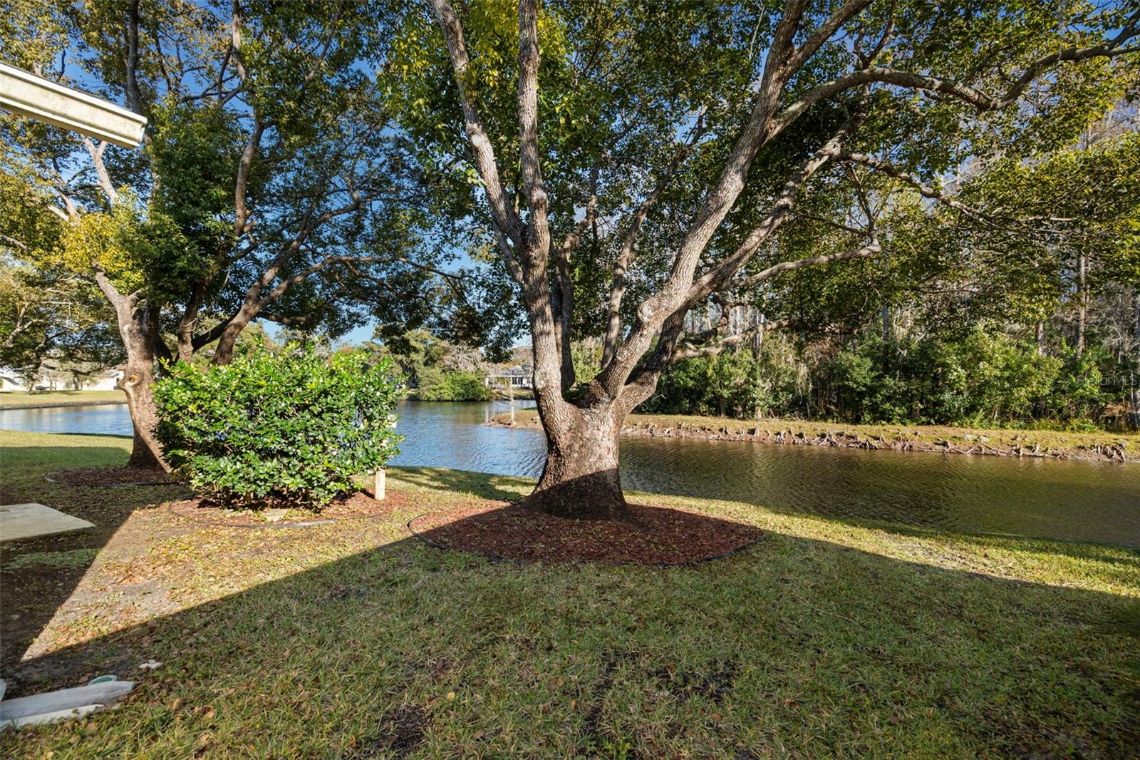 CEDARWOOD VILLAGE CONDO 01 - Residential