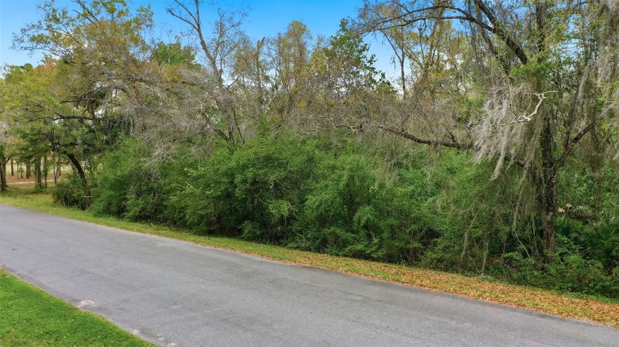 Looking to build your dream home on this 1.09-acre lot in the Wedgefield community of East Orlando, an area known for its large homesites and equestrian-friendly setting. This property offers the opportunity to enjoy a rural lifestyle while remaining connected to the conveniences of Central Florida. Located within Cape Orlando Estates, the community provides a peaceful environment with convenient access to major roadways including SR-520, SR-528 (Beachline Expressway), SR-408, and Florida’s Turnpike. From here, Orlando International Airport, Downtown Orlando, and the Space Coast beaches are all within easy reach. Nature and outdoor recreation are close by at Hal Scott Regional Preserve and Park, offering trails for hiking, biking, horseback riding, camping, and wildlife viewing. Residents of Wedgefield also enjoy access to a public golf course, local K-8 school, and the benefit of a voluntary HOA.