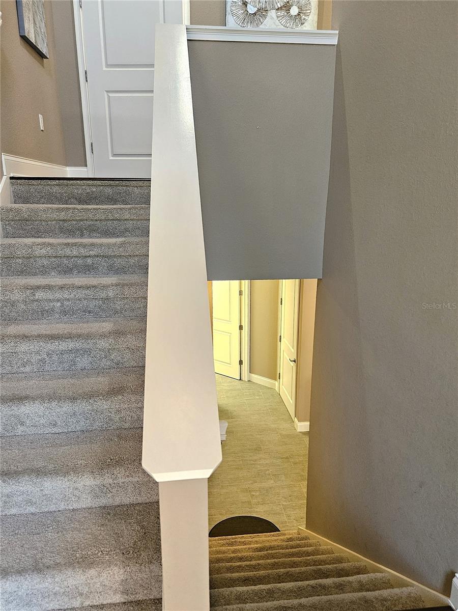 ISLAND COURT VENICE - Residential Lease