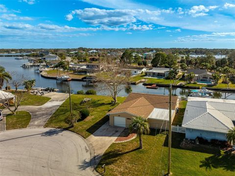 A home in PORT RICHEY