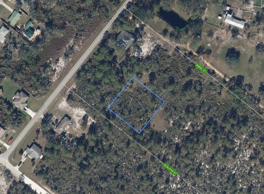 This 0.52-acre (22,500 sq. ft.) lot presents a one-of-a-kind opportunity for builders and investors looking to secure property for future development or to hold as a long-term investment with great potential for appreciation. Located in a growing community with nearby homes, this area of Highlands County continues to expand in value and popularity. Centrally positioned within a 2–3 hour drive of Florida’s major cities and coasts, the location offers both convenience and tranquility. Enjoy all that Lake Placid has to enjoy, including fishing tournaments, local festivals, wineries, a distillery, boutique shops, golf courses, restaurants, and access to a hospital, medical offices, and pharmacies right in town. Lots in this area are steadily rising in value—buy now while it’s still affordable!