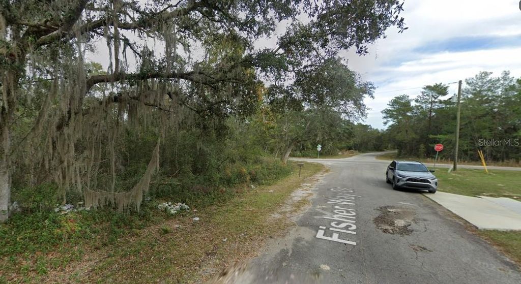 Photo of Fisher Way Dr Lot 16, Ocklawaha, FL 32179 (MLS # D6147972)