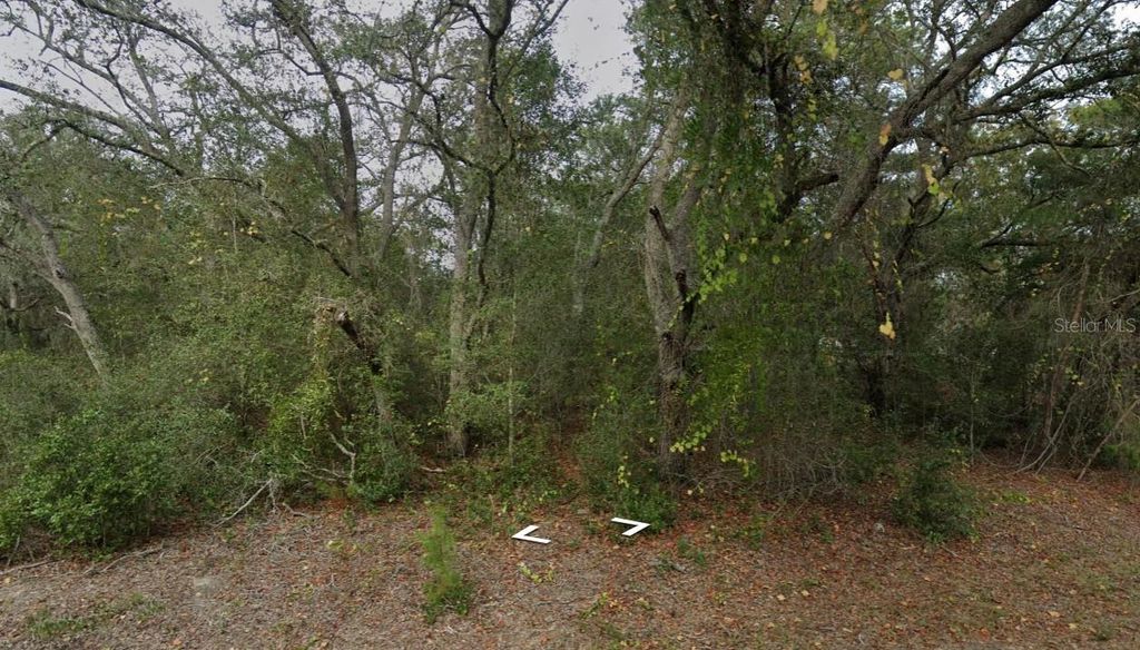 Photo of Fisher Way Dr Lot 16, Ocklawaha, FL 32179 (MLS # D6147972)