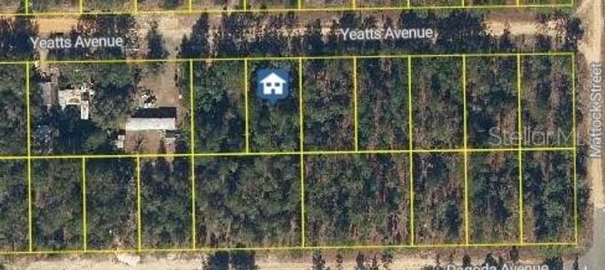 This nearly quarter acre lot offers the perfect opportunity to create your own Florida retreat. With plenty of room to build a site built or manufactured home and space to park your boat, RV, or other recreational toys, this property gives you flexibility without HOA restrictions. Enjoy the peaceful setting while being close to local lakes, public boat ramps, parks, and the Ocala National Forest. Convenient access to Palatka, Gainesville, and Jacksonville makes commuting or weekend trips easy. Country living with room to grow. Make this your new home site today!