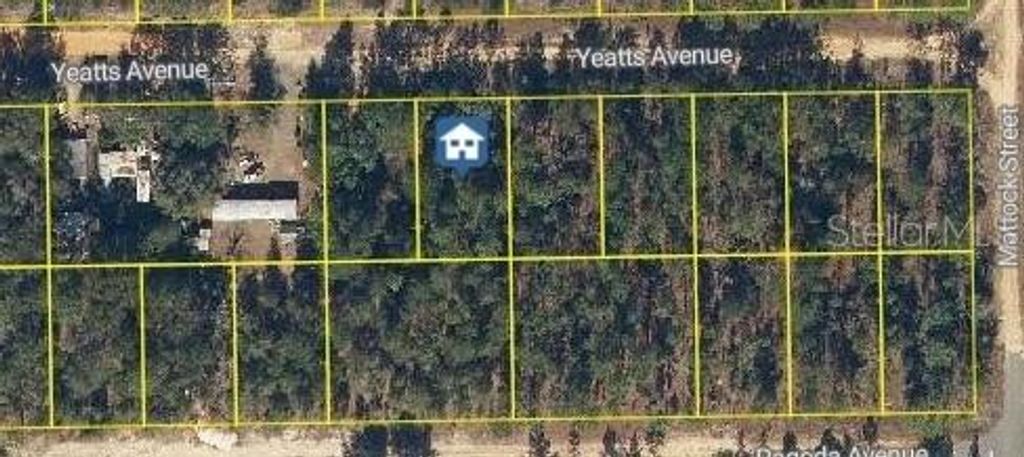 Photo of 111 Yeatts Avenue, Interlachen, FL 32148 (MLS # FC316152)