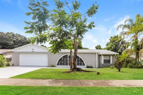 A home in VALRICO