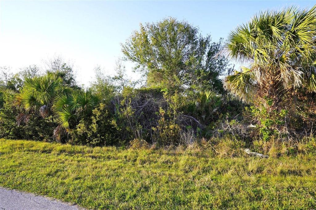 Photo of 12266 Newgate Avenue, Port Charlotte, FL 33981 (MLS # C7506253)