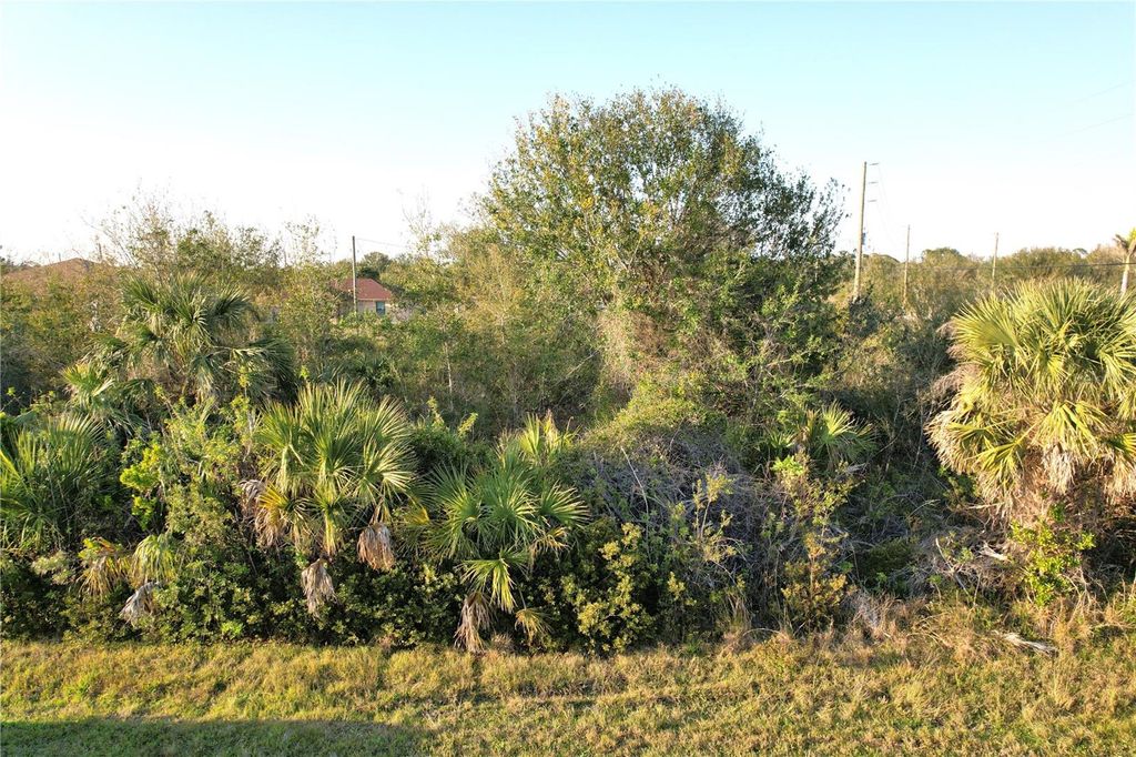 Photo of 12266 Newgate Avenue, Port Charlotte, FL 33981 (MLS # C7506253)