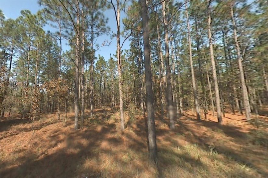 Discover the perfect opportunity to build your dream home on this spacious 0.92-acre lot located in the desirable Lake Tropicana Ranchettes community in Dunnellon, Florida. With nearly a full acre, this property offers plenty of room to design the lifestyle you’ve been dreaming of — whether that includes a custom home, pool, outdoor fire pit area, entertaining space, or even your own private garden.

Enjoy the freedom of country-style living while still being conveniently located near Dunnellon’s local shops, dining, and outdoor recreation. The size and layout of this lot make it attractive for both future homeowners and builders looking for space, flexibility, and long-term value.

Whether you’re ready to build now or planning for the future, this property offers endless potential in a growing area of Marion County. Don’t miss your chance to secure nearly an acre of Florida land and bring your vision to life.