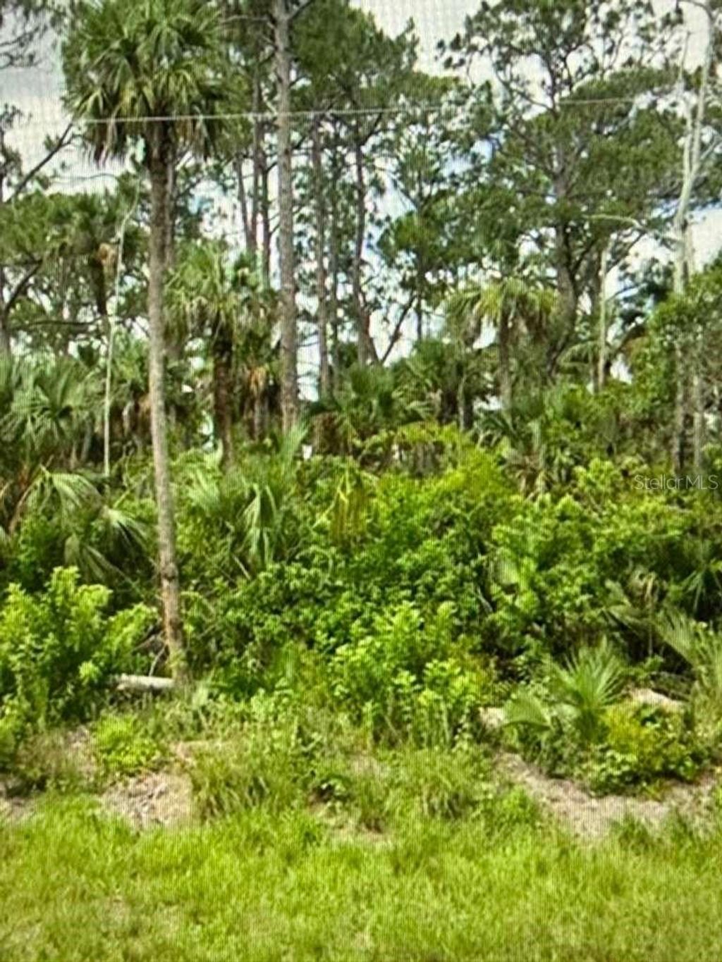 Photo of 625 Greenbriar Boulevard, Lehigh Acres, FL 33972 (MLS # GC534585)