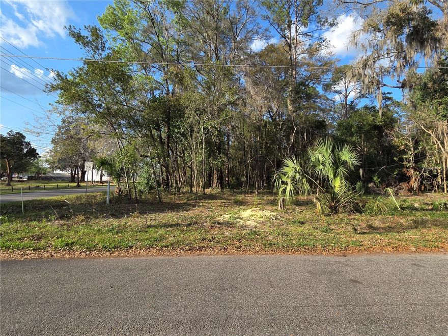 Build an income-producing property AND the home of your dreams in one of Gainesville’s most beloved neighborhoods! This is Parcel 1 of three available lots at the corner of NE 2nd Street and 13th Avenue.

Set on the edge of the Northeast Historic District, affectionately known as the Duckpond Neighborhood, this U3-zoned corner lot offers excellent potential for residential development, including a single-family home with the option for up to two ADUs (1 attached and 1 detached accessory dwelling units,) ideal for homeowners, builders, or investors. Public utilities are easily accessible.

Enjoy a prime location adjacent to Tom Petty Park, convenient to schools, shopping, restaurants, entertainment, and the area’s abundant recreation facilities and natural resources, all less than a 10 minute drive to the University of Florida and major hospitals. A rare opportunity to create something special in one of Gainesville’s most historic and desirable neighborhoods. Seller financing may be considered.

This listing is one of 3 adjacent parcels, 10056-001-001, 10056-001-002, 10056-001-003. These can be sold as a package or individually. The individual parcel MLS numbers are GC538302 (Parcel 1,) GC538538 (Parcel 2,) GC538541 (Parcel 3,) and the package of all three parcels is (GC538279.)